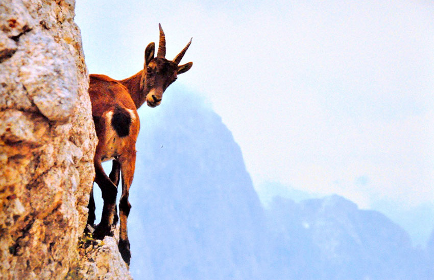 В Музее изобразительных искусств открылась выставка таджикских художников