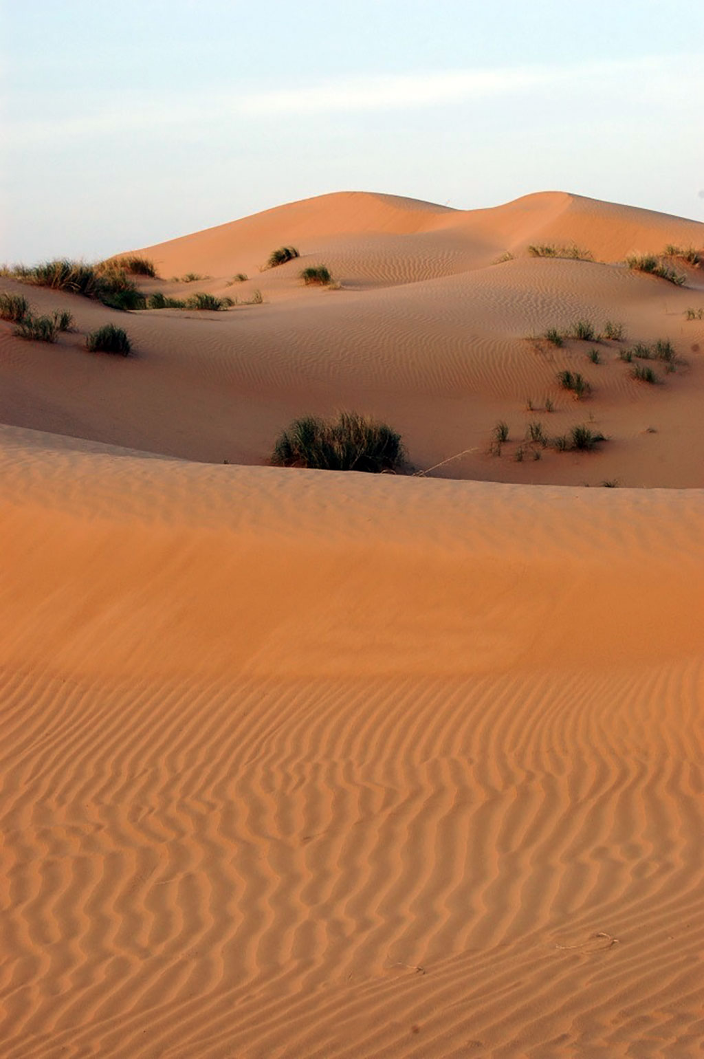 Çölleşmäge gözegçiligiň  milli ulgamy
