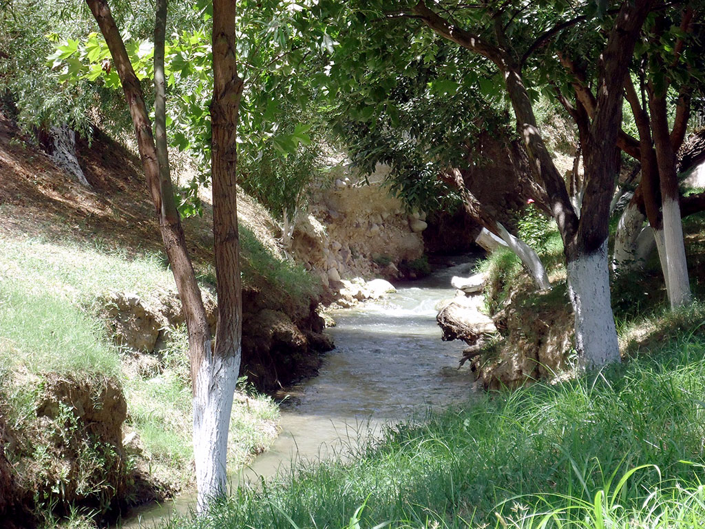 Ecology lessons are organized for the children on holidays in Gyokdere