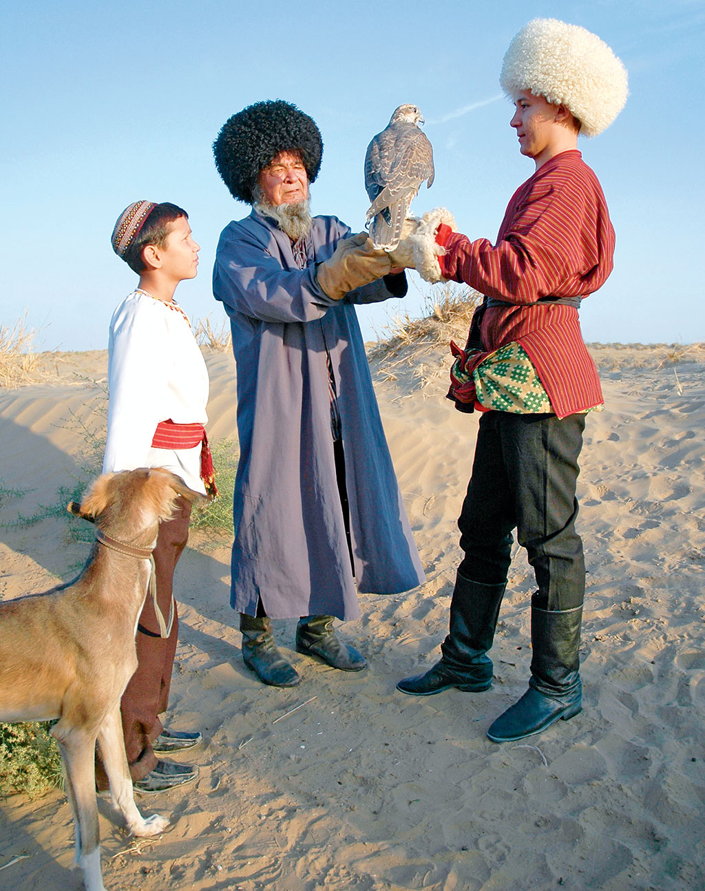 Falcon hunting: Traditions and modernity