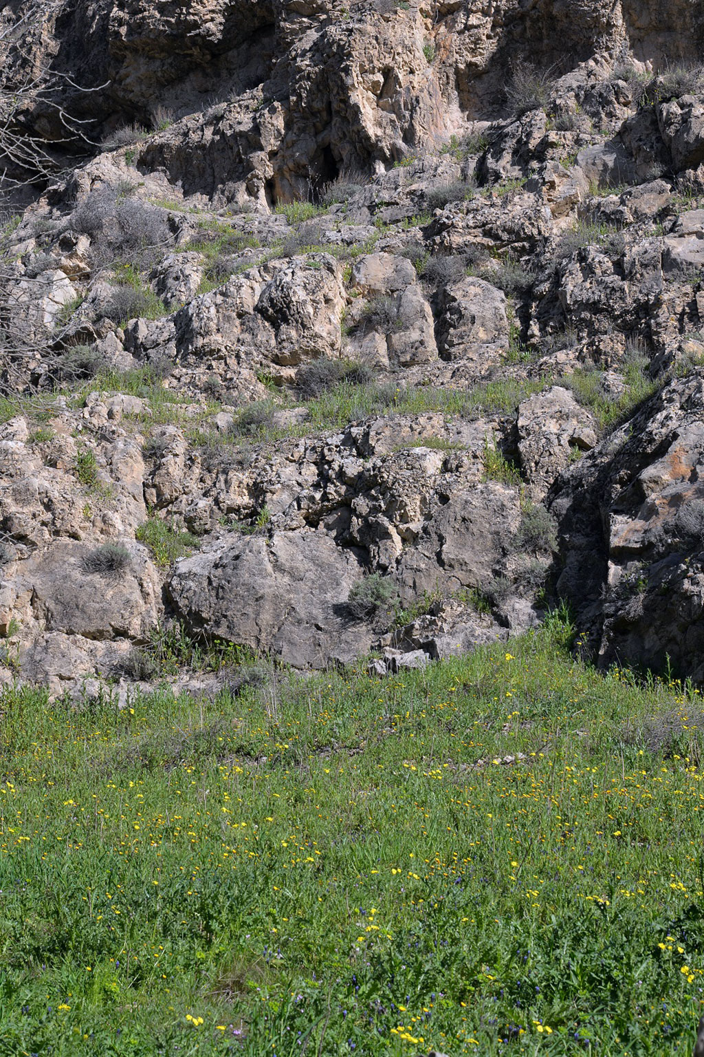 Turkmen nature conquers by its beauty