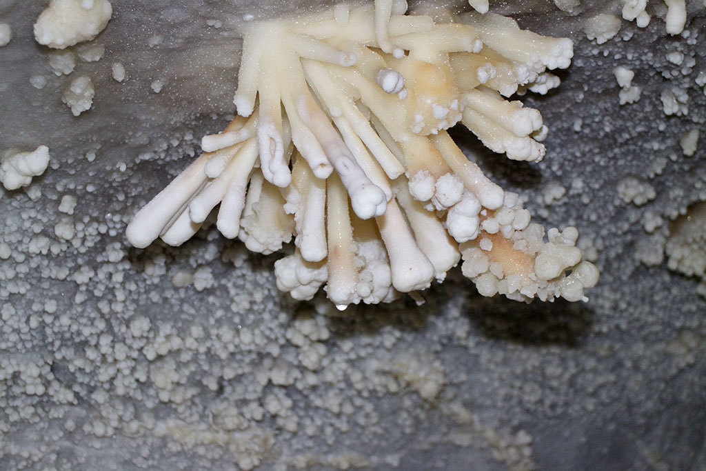 Памятники туркменской природы: туризм и экологическая культура 