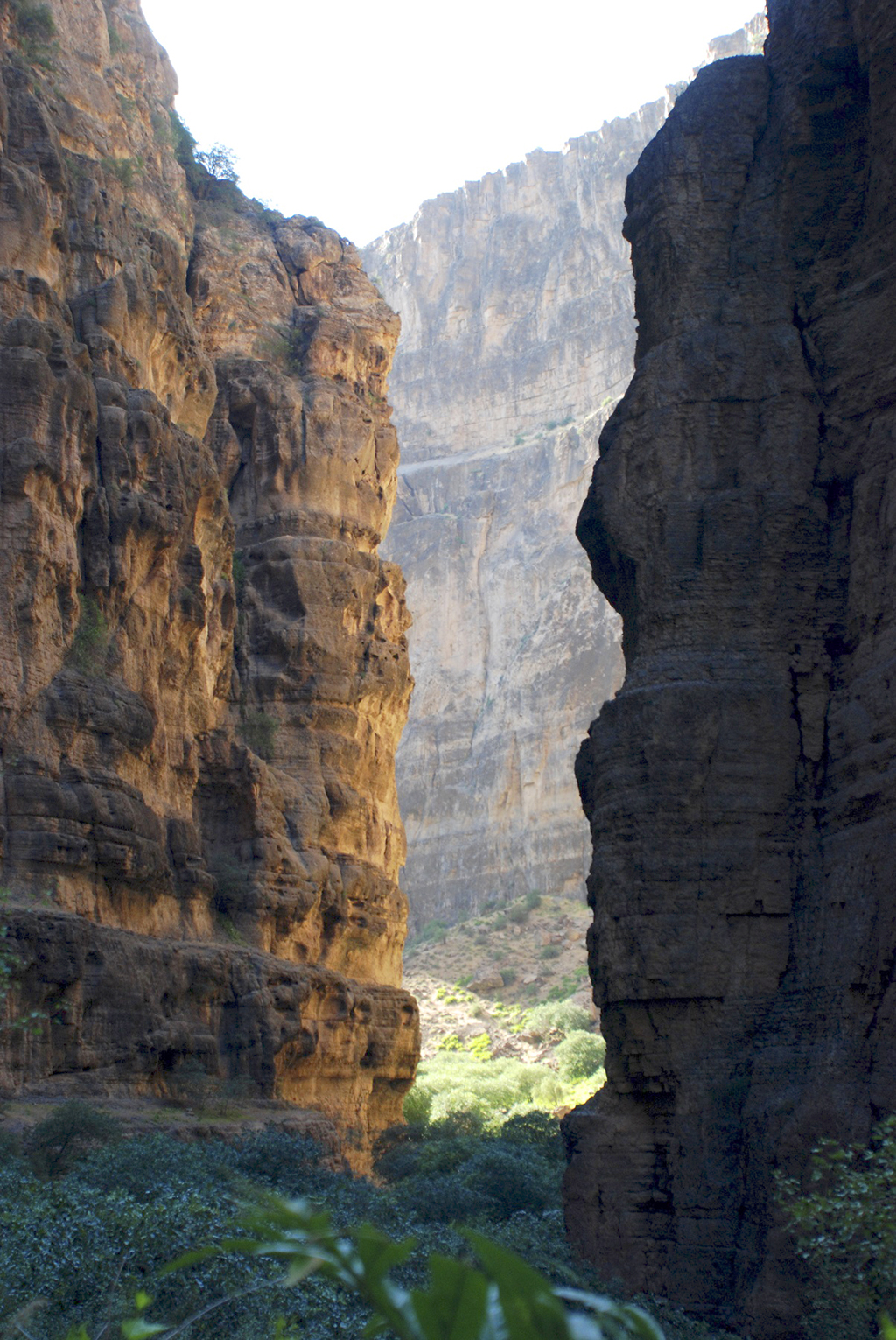 The Monument of Turkmen nature: Tourism and Ecological Culture