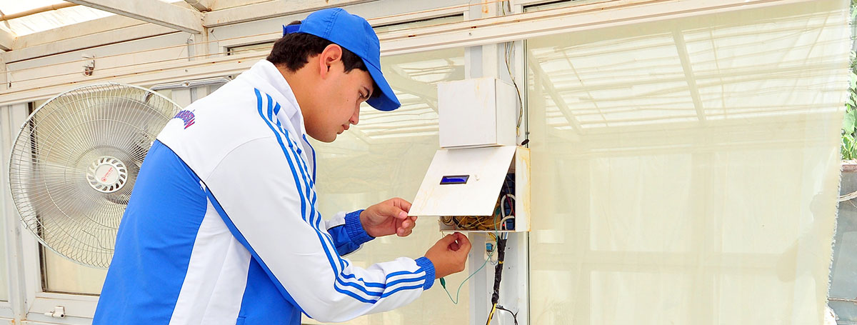 Young scientists develop automatic system for care of hothouse crops