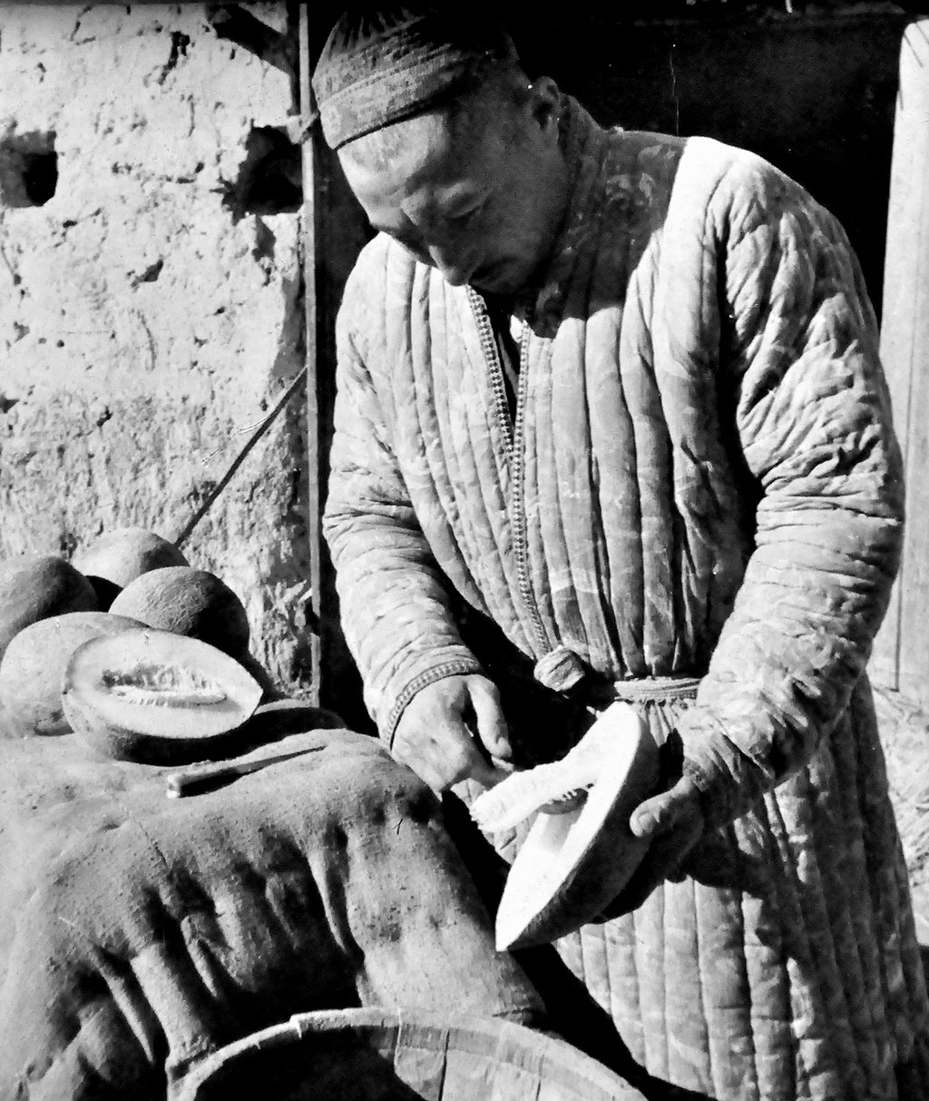 Дыня – главная героиня выставки, развёрнутой в Государственном музее