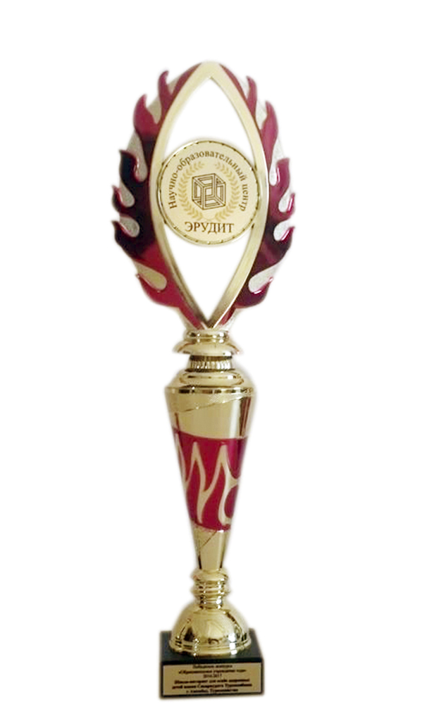 Kaka etrabynyň okuwçylary halkara olimpiadasynda ýeňşe dalaşgärleriň 765-siniň arasynda iň güýçlileriň onlugyna girdiler