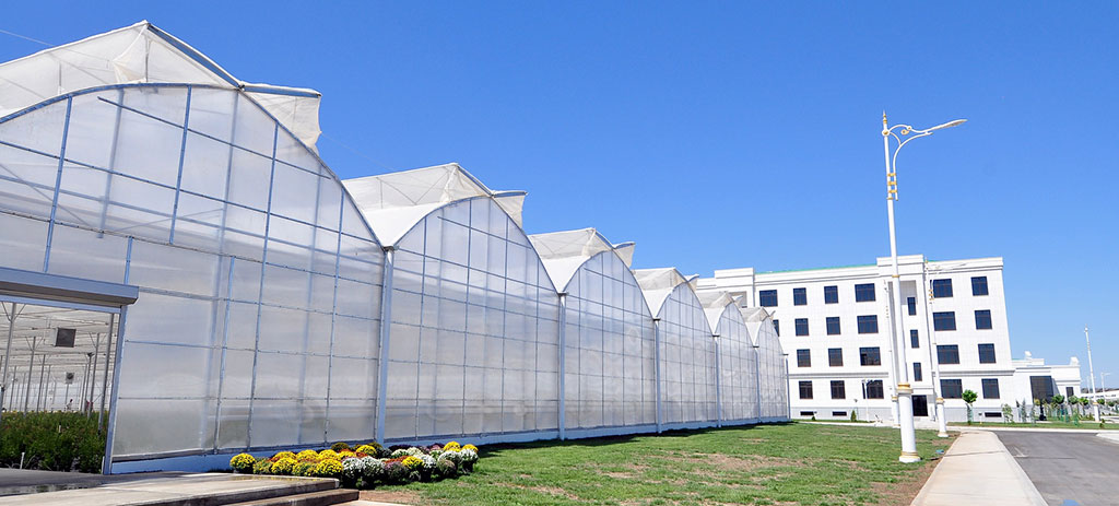 Bilimler we talyp ýaşlar güni täze bilim edaralarynyň açylmagy bilen beslendi