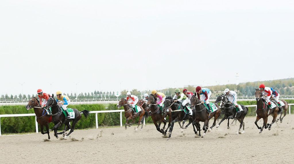 The Head of the State is honoured guest of celebration equestrian tournament 