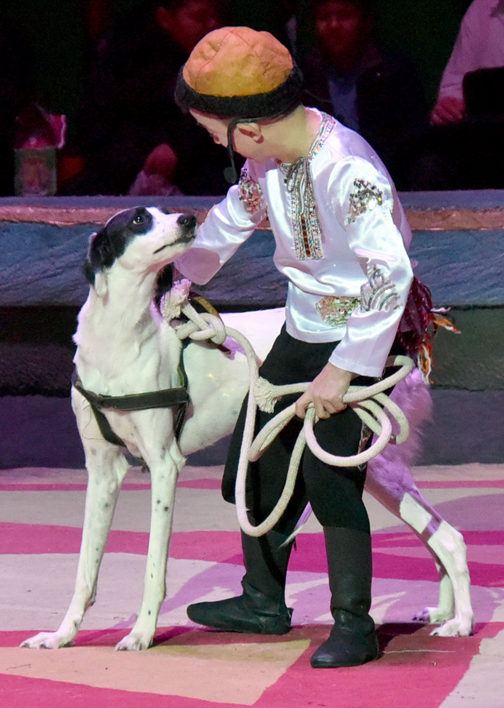 The state circus staff prepared the creatively and eventful New Year's program with tricks