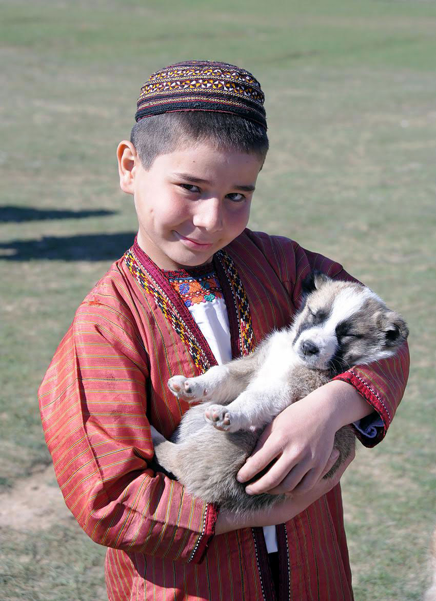 Туркменский алабай – национальное достояние, верный друг и незаменимый помощник