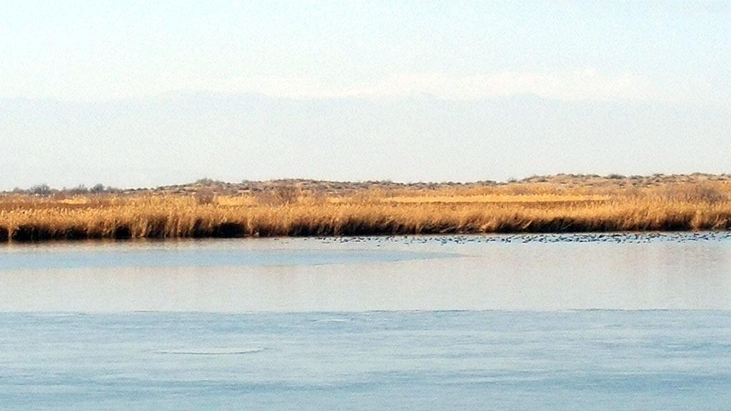 Topical round table is dedicated to the World Day of Wetlands