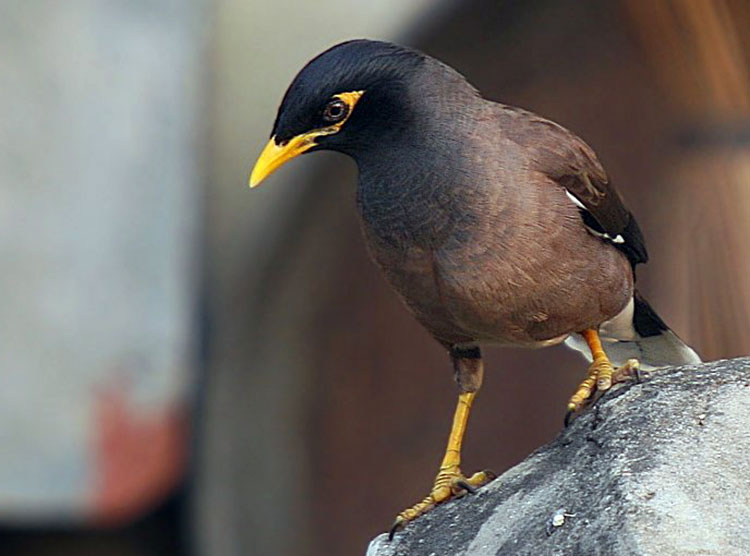 Глава государства выразил соболезнования в связи с крушением пассажирского самолёта в Иране 