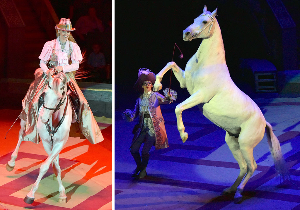 Artists of the Moscow Circus "Carnelli" presents their best acts to the Ashgabat public