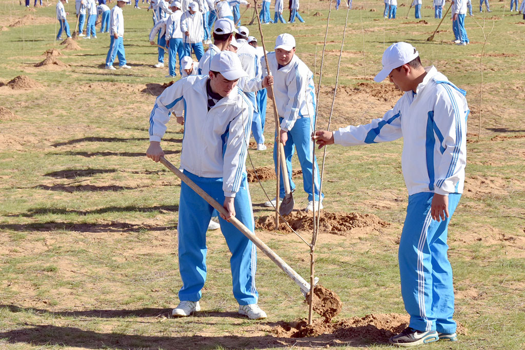 На имя главы государства поступают поздравительные послания 