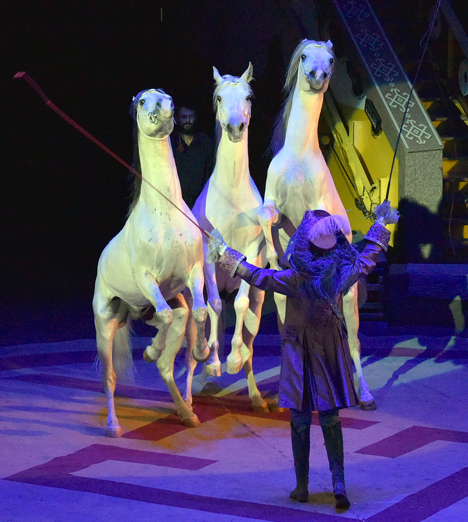 Artists of the Moscow Circus "Carnelli" shares their impressions of the tour in Ashgabat