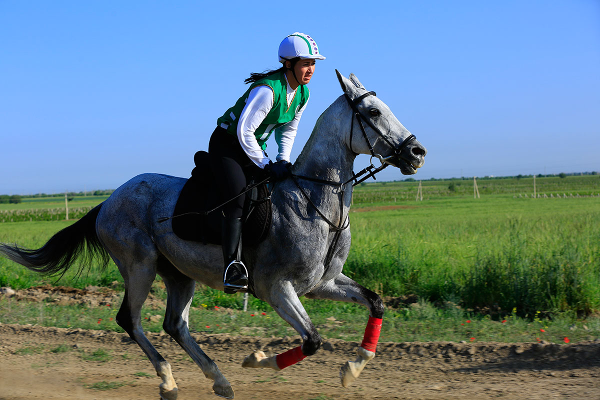 There was a horse marathon and competition in show jumping 