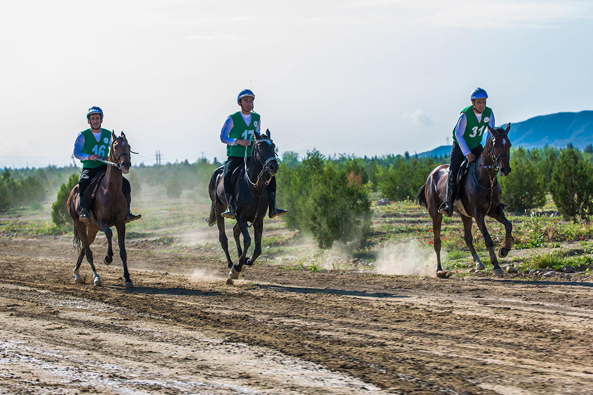 There was a horse marathon and competition in show jumping 