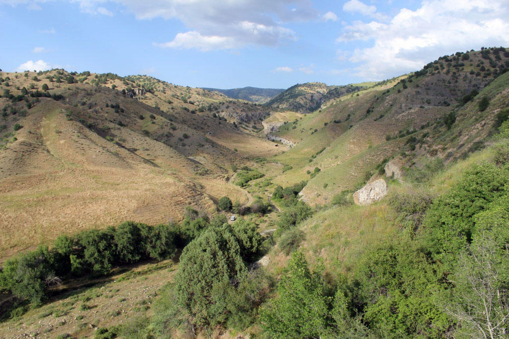 Daglarda türkmen ösümlikler dünýäsiniň üýtgeşik wekili—ýabany orhideýalar gülledi