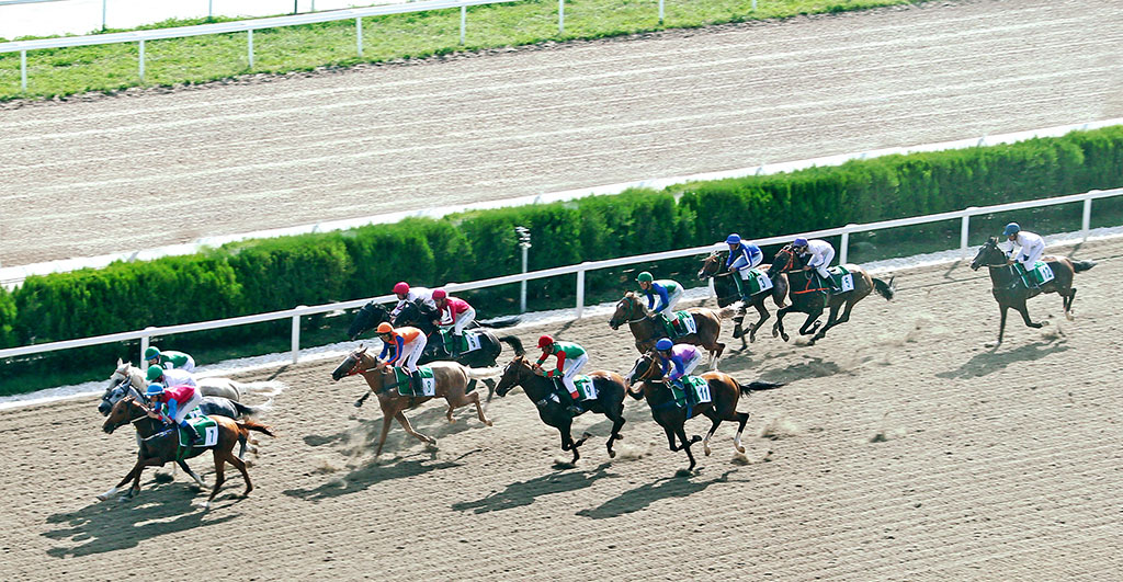 National Ahalteke Horse Celebration is observed in Turkmenistan   