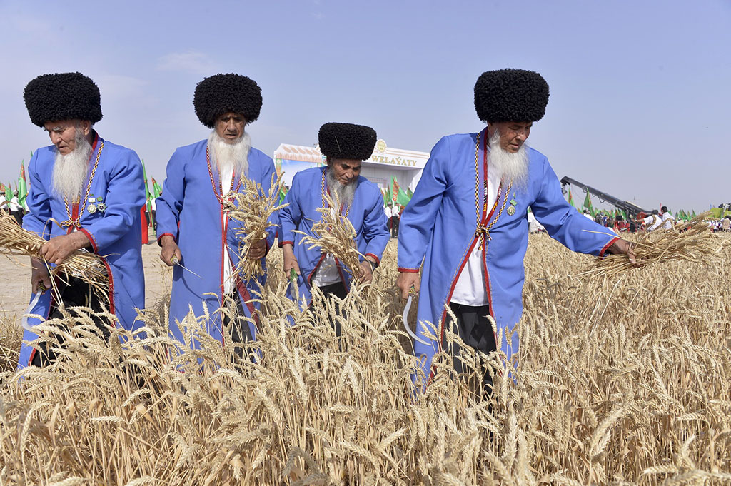 Farmers of Akhal, Lebap and Mary velayats start mowing season 