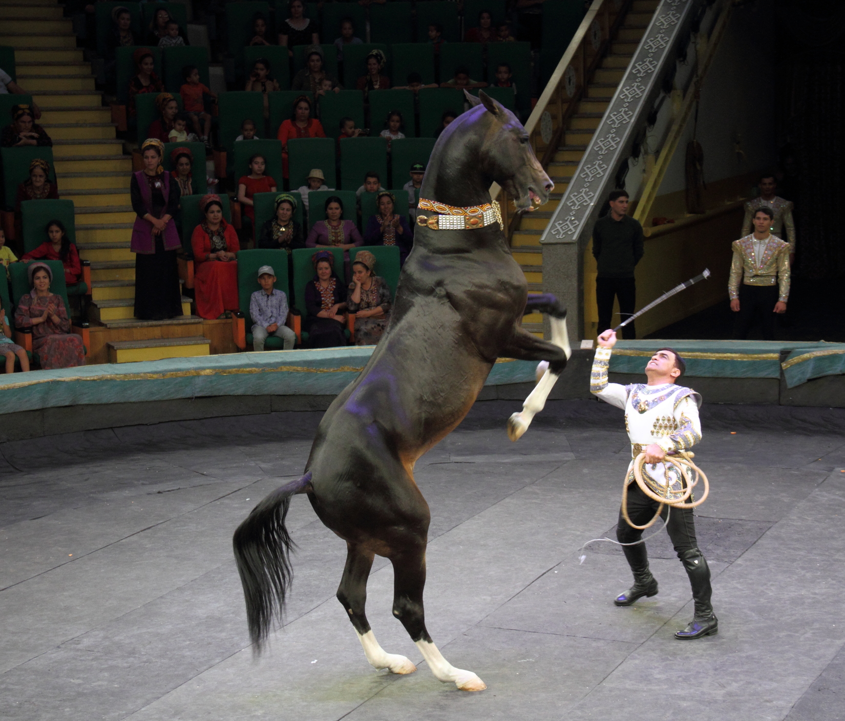 Performance by Galkynysh National Equestrian Group Adds Crowning Touch to Fourth Day of Culture Week