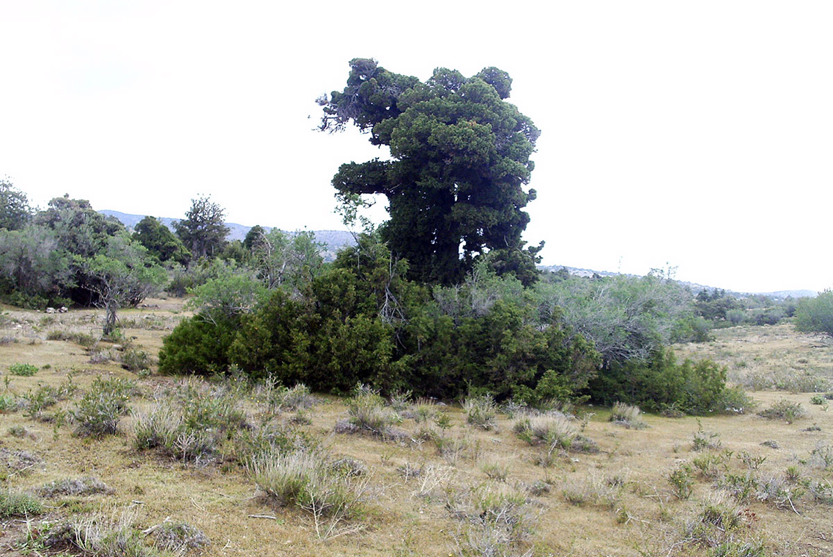 Mountain range of the Kopetdag is one of natural atractions of the country