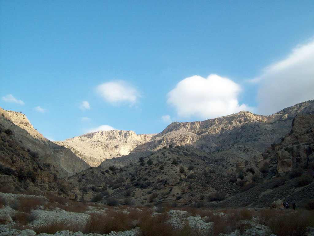 Uly Balkanyň özboluşly  ösümlikler dünýäsi