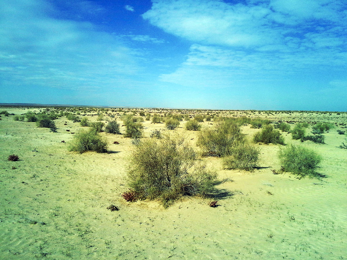 Karakum Desert: Unique biosystem and natural attraction 