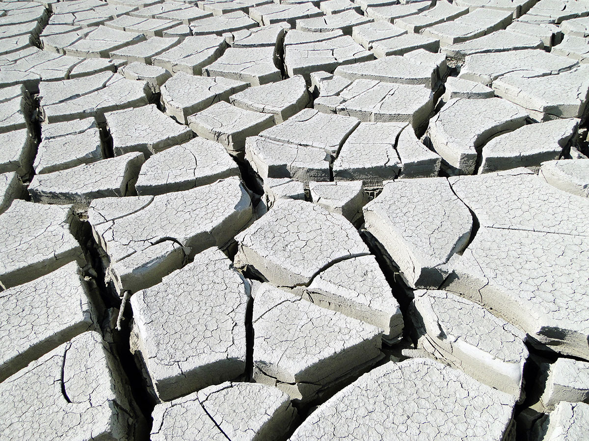 Karakum Desert: Unique biosystem and natural attraction 