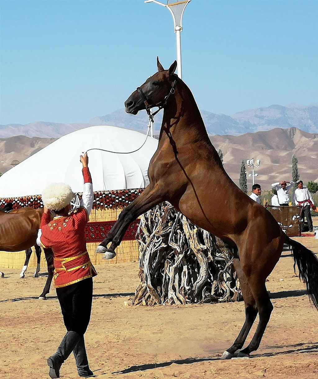 The President of Turkmenistan gives Kurban Bayramy food donation