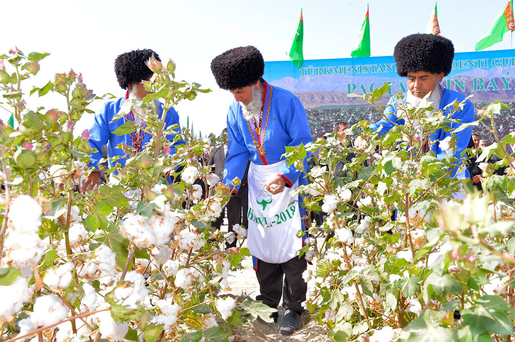 First caravans with cotton yield arrive to reception facilities