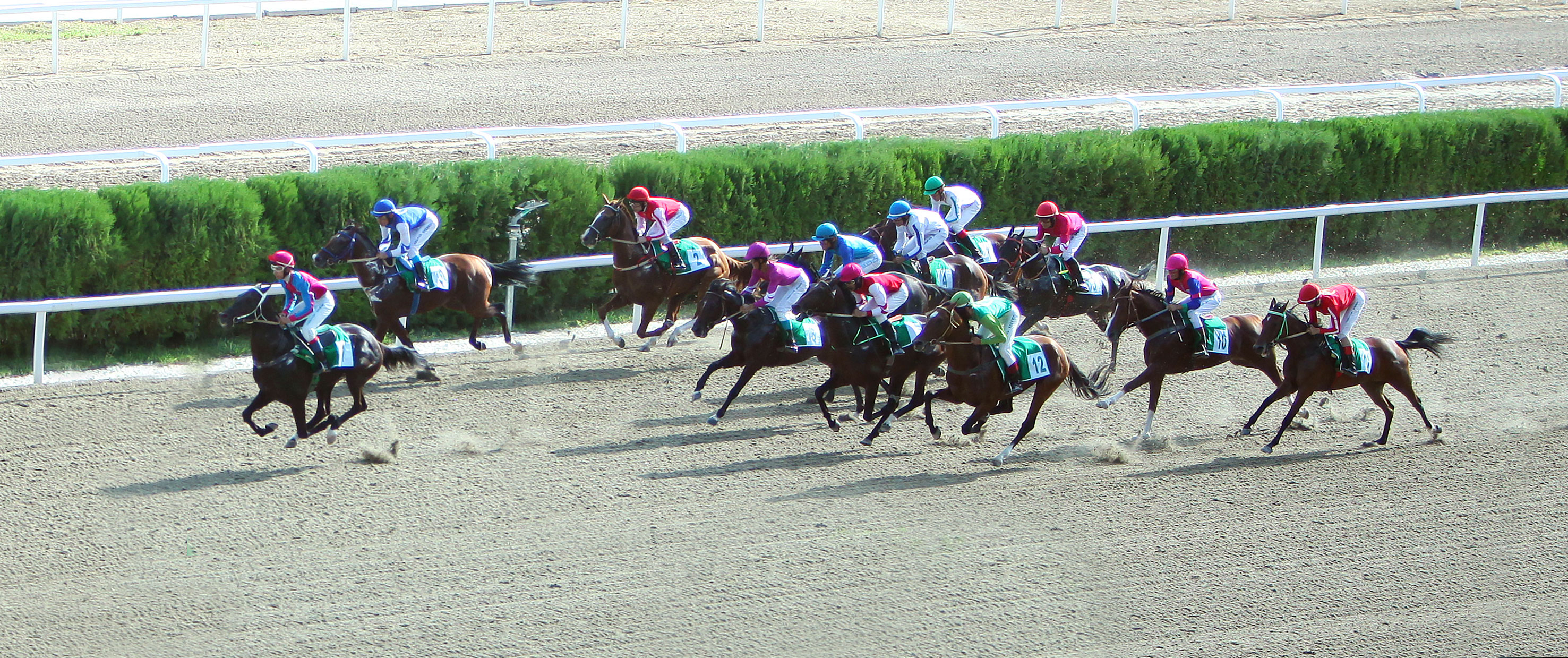 International Ahalteke Equestrian Complex holds the races 