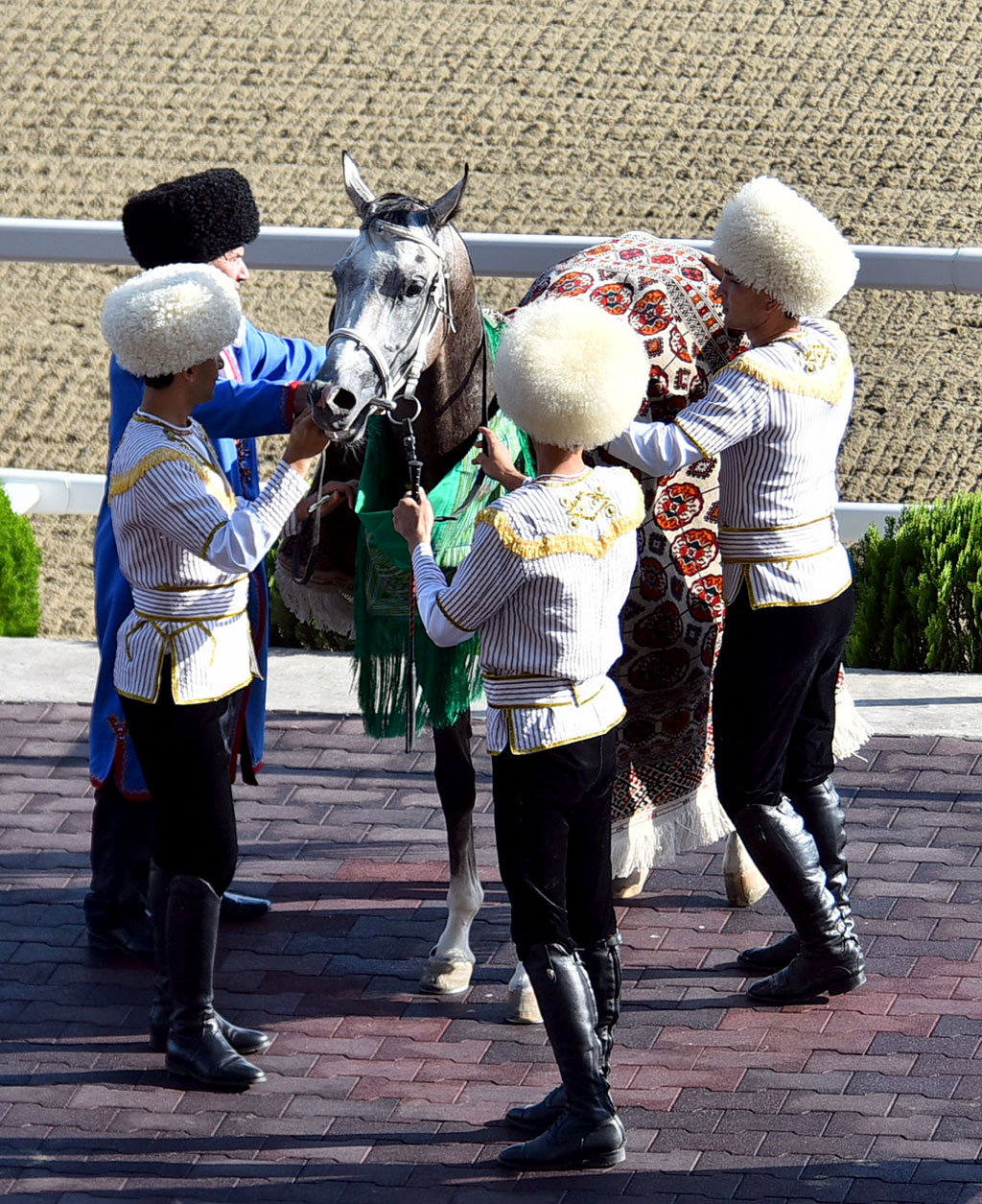 International Ahalteke Equestrian Complex holds the races 