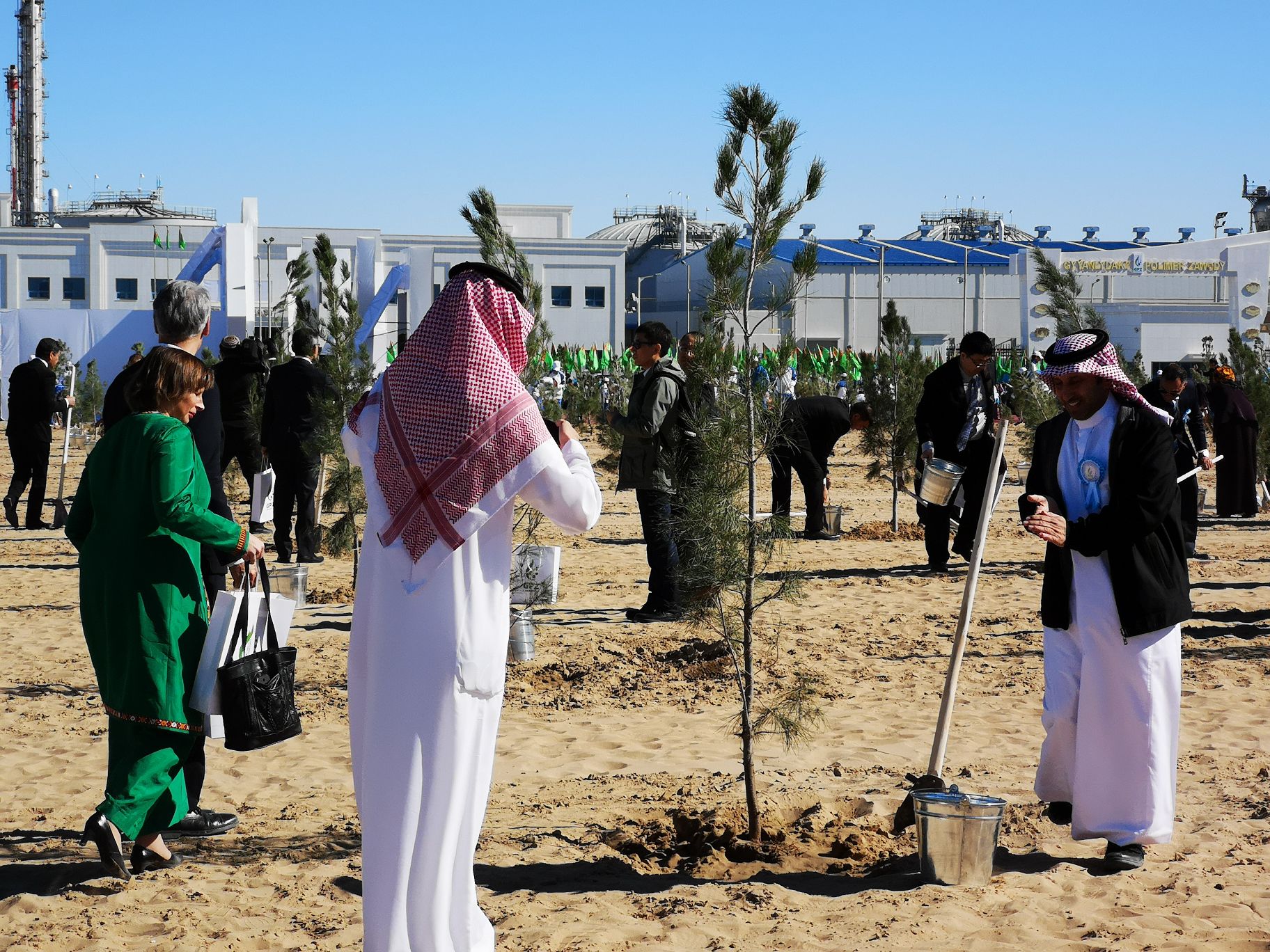 Tree Planting Campaign Takes Place in Kiyanly