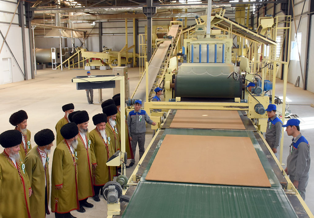 LDF Plant Commissioned in Mary Province