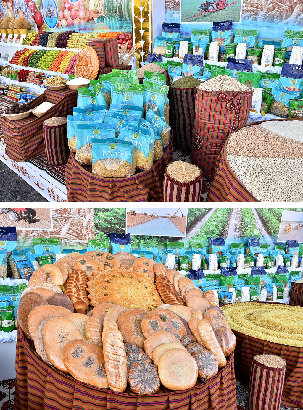 Turkmenistan celebrates Harvest Festival