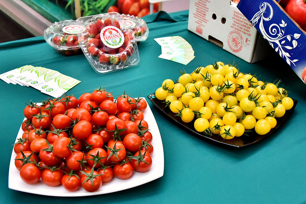 Döwrebap tehnologiýalar — importuň ornuny tutýan önümçiligiň ösüş binýady
