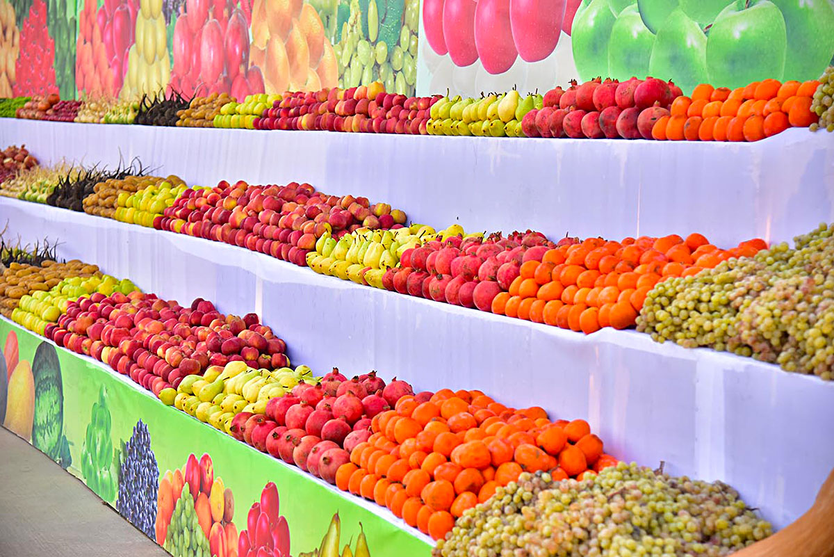 В Ашхабаде введён в строй холодильный склад для плодоовощной продукции 