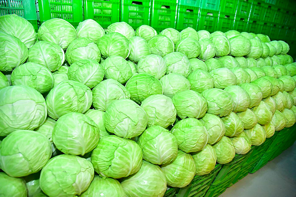 В Ашхабаде введён в строй холодильный склад для плодоовощной продукции 