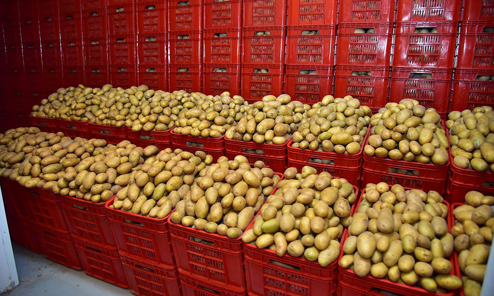 Cold-chain store for fruits and vegetables is put into operation in Ashgabat 