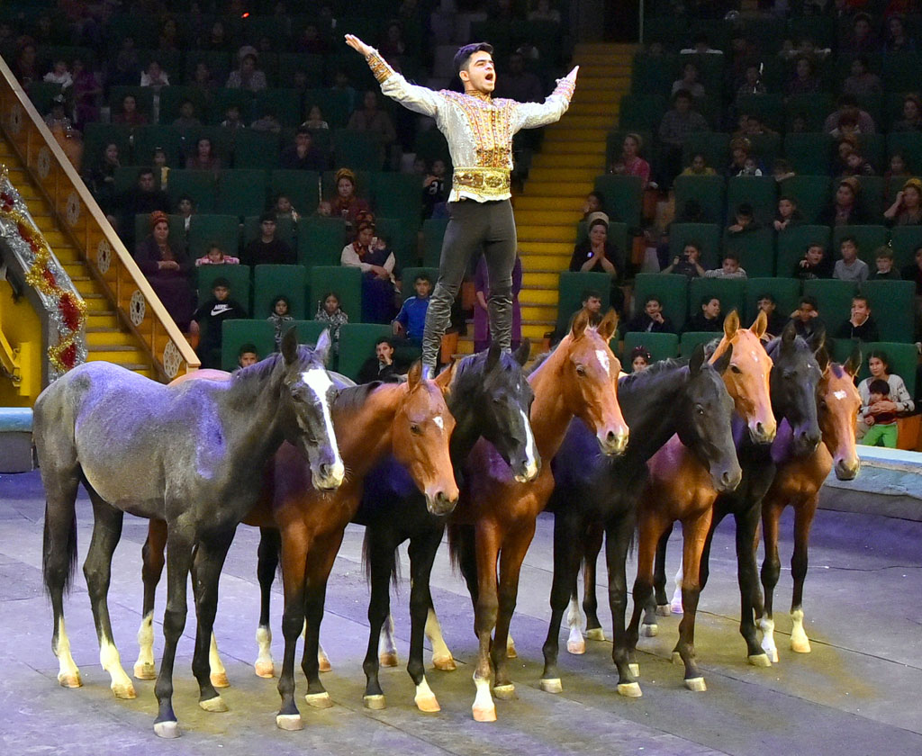 New Year Circus Program delights audience with spectacular circus acts