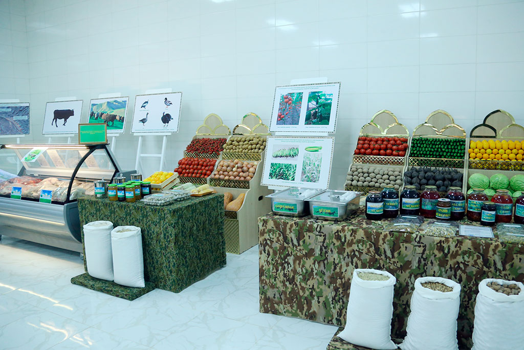 The President of Turkmenistan inspects the work of subsidiary farms of security forces 