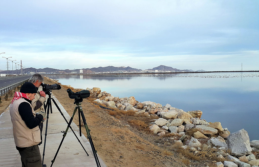 Ornithologists in Turkmenistan complete the winter registration of birds