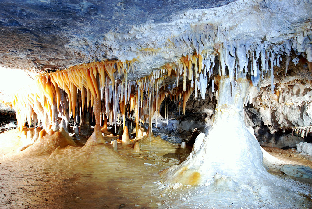 Köýtendagyň ýerasty dünýäsiniň syrlary: Garlyk gowaklarynyň özboluşly haýwanat dünýäsi