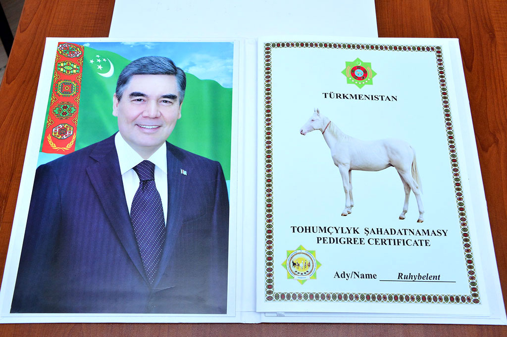 Ruhubelent horse is presented to Galkynysh Group on behalf of the head of the State 