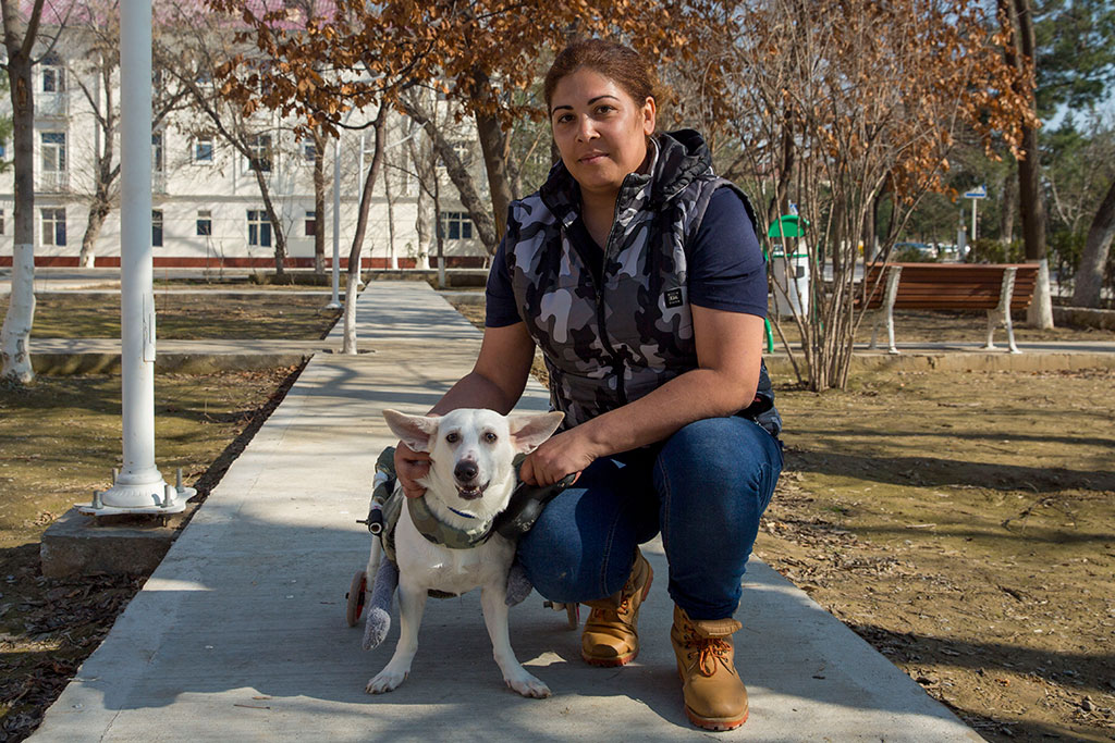 Fate of Dog Nicknamed Belyy, or Story of People Driven by Kindness