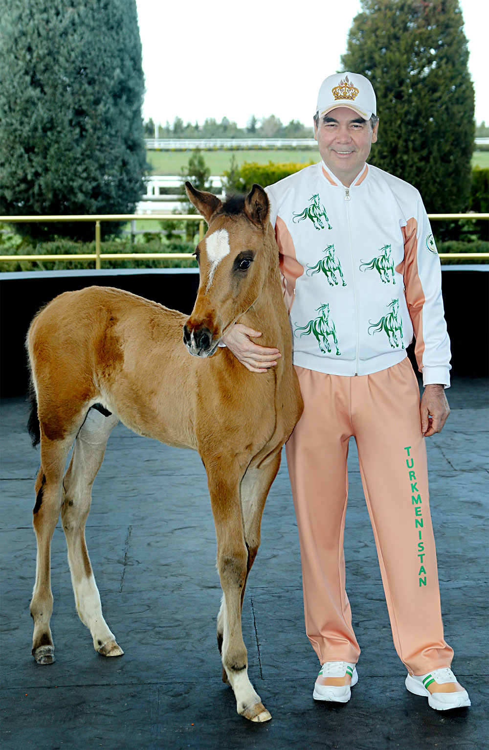 The Head of the State visits the Olympic village and Ahalteke Equestrian Complex 