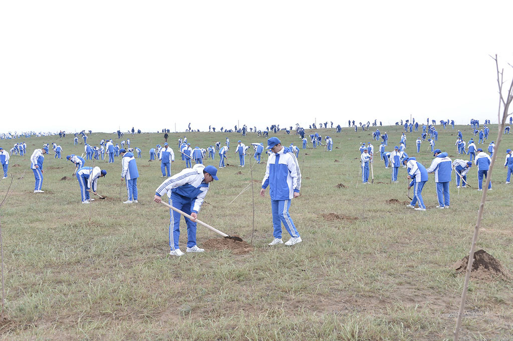 National tree planting campaign for the interests of ecological wealth