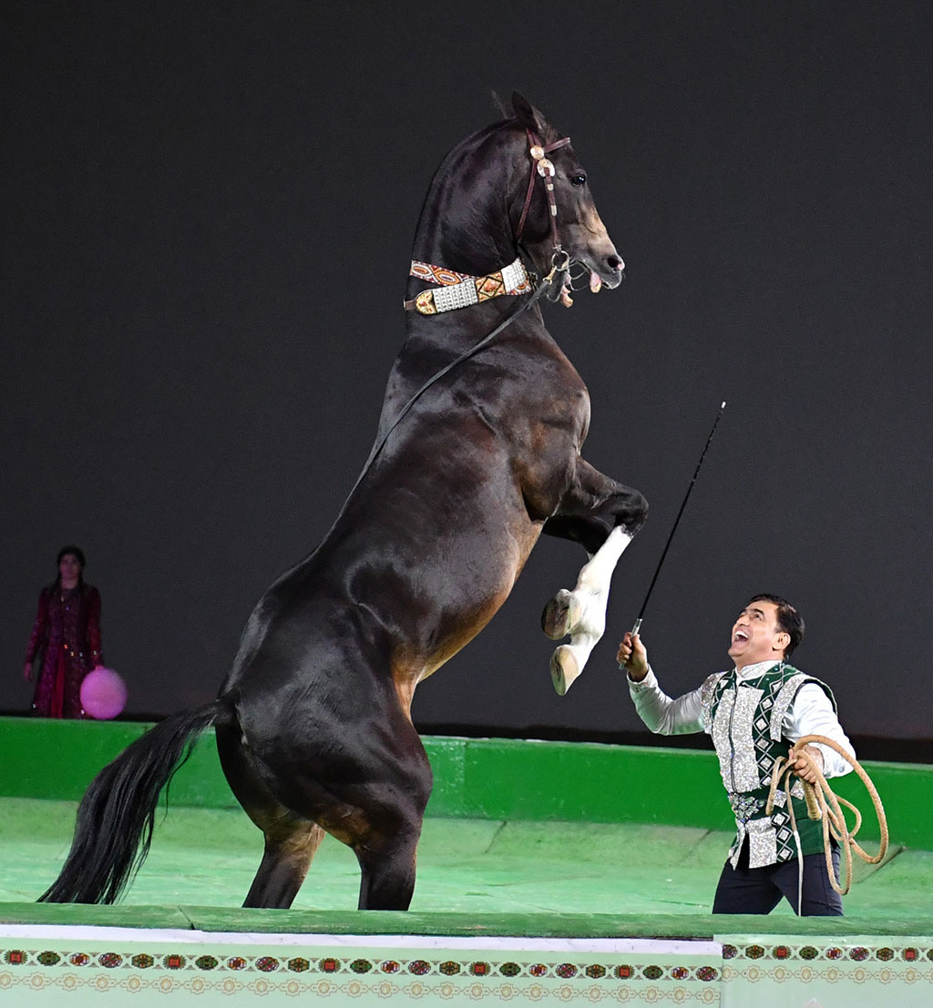 Turkmen horse riders perform with success in Bahrain 