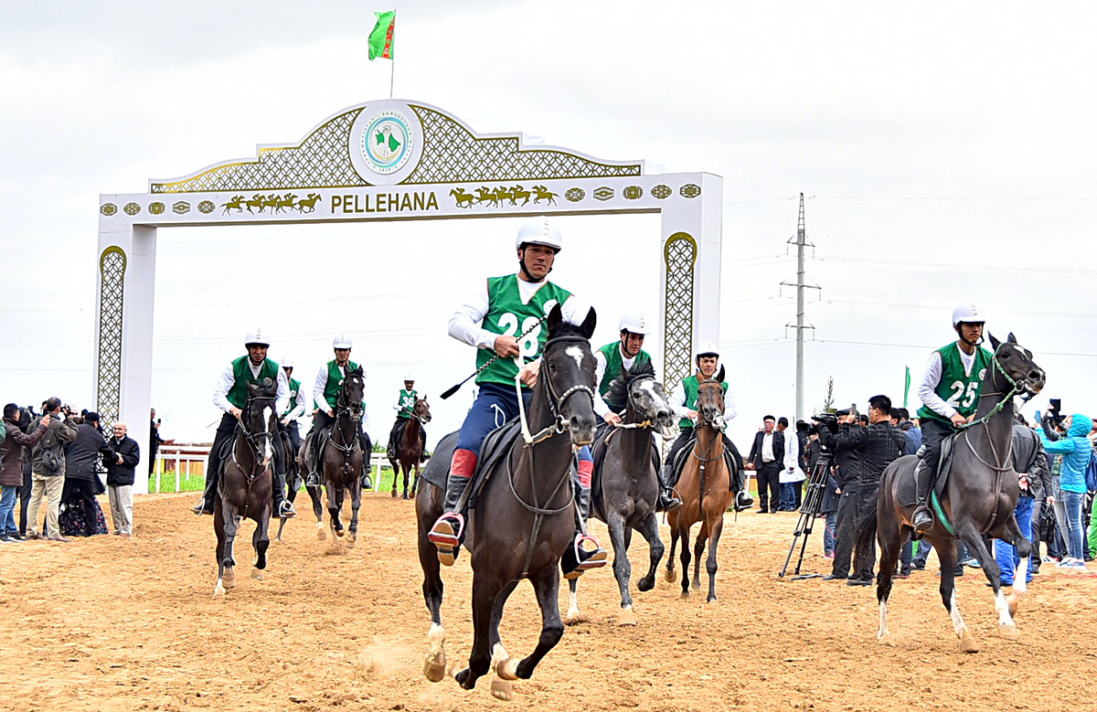 Ahalteke horses show stamina and sport merits at marathon distance